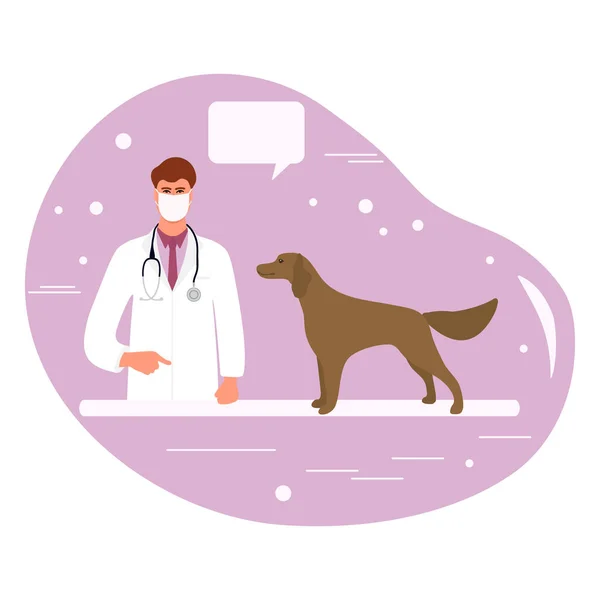 Ilustración Vectorial Visita Médico Con Perro Hospital Clínica Veterinaria Servicio Vector De Stock