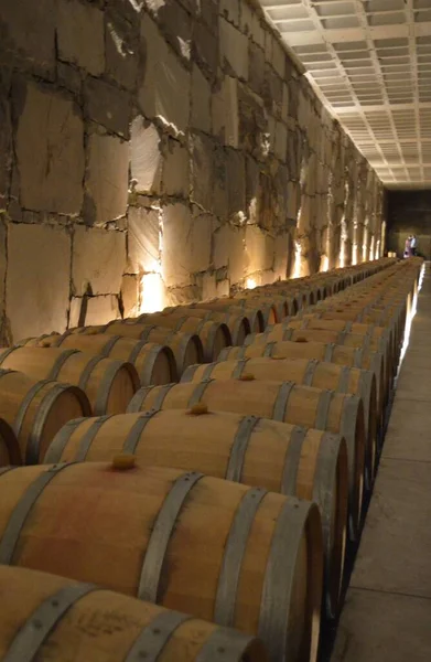 Wine barrels in a cave with low light in a long corridor.