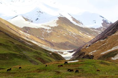 Dağların güzel manzarası.