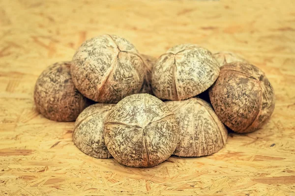 Shell Καρύδας Kiwi Fruit Shell Cocos Nucifera — Φωτογραφία Αρχείου
