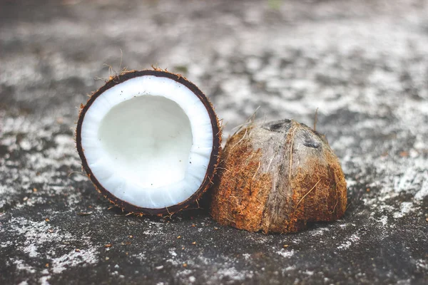 Coconut | the edible fruit of the coconut palm (Cocos nucifera), a tree of the palm family.