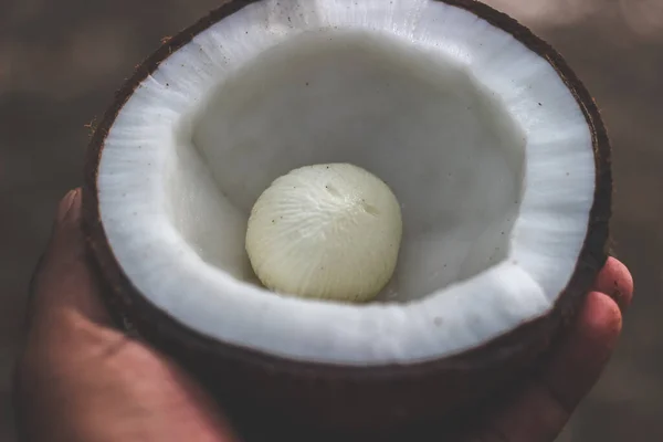 Frühstadium Des Fruchtfleisches Der Kokosnuss Pflanze Kiwi Frucht Pela Mada — Stockfoto