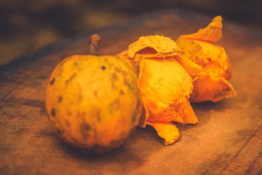 Canistel Fruit (Pouteria campechiana) (kapkek meyvesi, yumurta meyvesi, zapote amarillo veya canistel olarak da bilinir) her zaman yeşil olan bir ağaçtır.