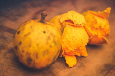 Canistel Fruit (Pouteria campechiana) (kapkek meyvesi, yumurta meyvesi, zapote amarillo veya canistel olarak da bilinir) her zaman yeşil olan bir ağaçtır.