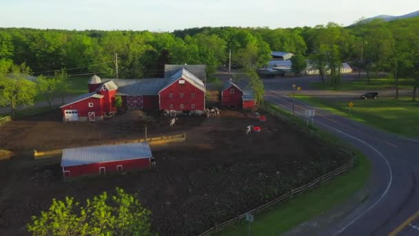 Este Vídeo Mostra Vistas Vacas Pasto Catskills — Vídeo de Stock