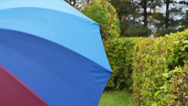 Eine Frau Mit Einem Regenschirm Einer Regenbogenfarbe Das Konzept Von — Stockvideo
