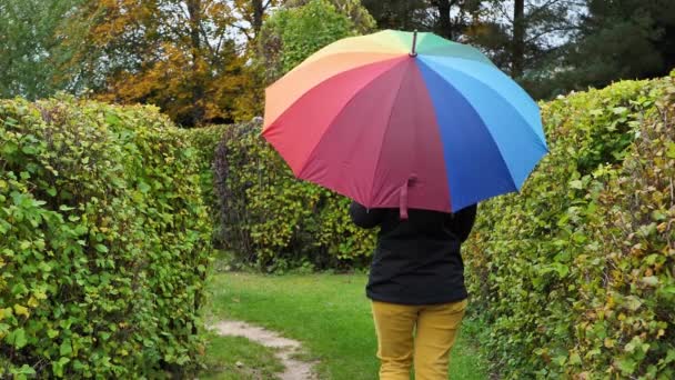 Una Donna Con Ombrello Colore Arcobaleno Concetto Felicità Amore Lgbt — Video Stock