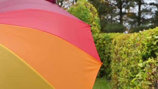 Eine Frau Mit Einem Regenschirm Einer Regenbogenfarbe Das Konzept Von — Stockvideo