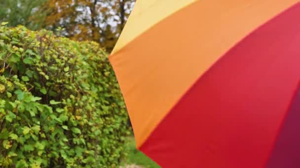 Eine Frau Mit Einem Regenschirm Einer Regenbogenfarbe Das Konzept Von — Stockvideo