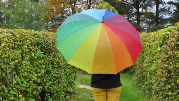 Seorang Wanita Dengan Payung Dalam Warna Pelangi Konsep Kebahagiaan Dan — Stok Video