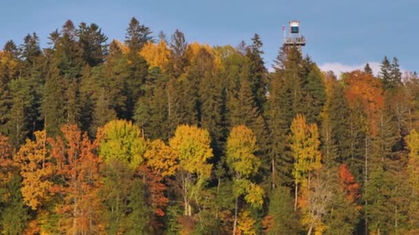 Podzim Namaloval Listí Stromů — Stock video