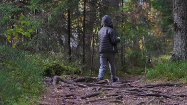 Çocuk Doğa Yolunda Tek Başına Yürüdü — Stok video