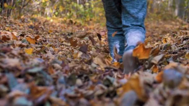 那孩子一个人在秋天的森林里散步 — 图库视频影像