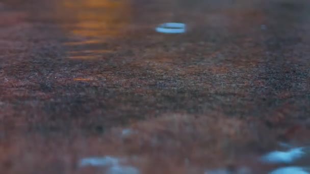 秋の色の水 雨が水の中に落ちる — ストック動画
