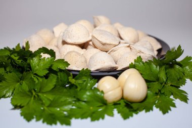 Nefis hindi köfteleri. Baharatlı taze etli börek. Organik lezzetli titanyum et