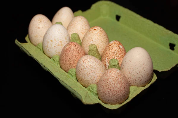 Indycze Jajka Pudełku Świeże Jaja Ekologiczne — Zdjęcie stockowe