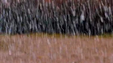 Yağmur damlalı bir fırtına suya düşer. Sokakları su basmış.