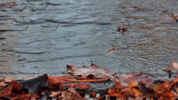 Uma Tempestade Com Gotas Chuva Cai Água Ruas Inundadas Com — Vídeo de Stock