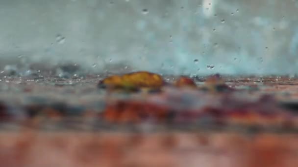 雨が降る嵐が水の中に落ちる 浸水した通りに水が — ストック動画