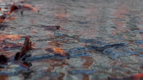 雨滴下在水里的风暴 满街都是水 — 图库视频影像