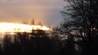 Ağaçların üzerinde gün doğumu ve gökyüzünde doğan güneşin yeni zamanı. Ağaçlara odaklanın. Kasıtlı olarak bulanık ve gün batımını ağaçların arkasında gösteren bir görüntü.