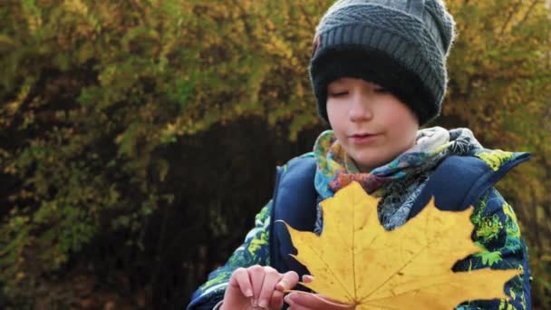 Chlapec Sedí Velkém Schodišti Parku Během Podzimu — Stock video
