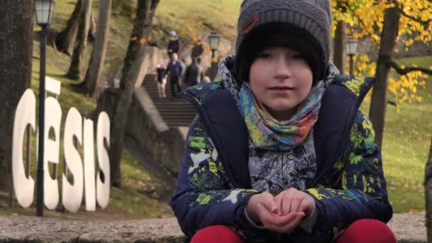 Niño Sienta Una Gran Escalera Parque Durante Otoño — Vídeos de Stock