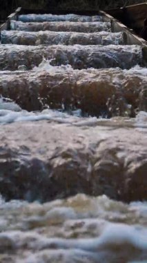 Letonya 'da balık yumurtlama rotası. İnsanlar alabalık için bir yumurtlama nehri inşa ettiler. Yapay bir nehir için büyük bir dere.