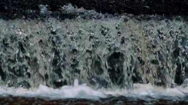 川の暗い水 秋の雨の暗い水が川を氾濫させる 大雨による雨季の道路洪水 — ストック動画