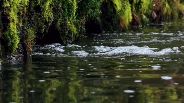 Flodens Mörka Vatten Höstregnets Mörka Vatten Översvämmar Floderna Vägöversvämningar Den — Stockvideo