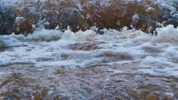黑漆漆的河水秋雨的黑水淹没了河流 雨季因大雨造成的道路洪水 — 图库视频影像