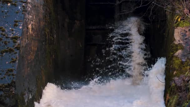 Eau Sale Pétillante Pénètre Dans Rivière Pollution Environnement Des Eaux — Video