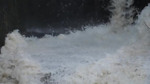 Schmutziges Sprudelndes Wasser Gelangt Den Fluss Umwelt Und Wasserverschmutzung Ökologische — Stockvideo