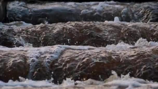 拉脱维亚的鱼类产卵路线 人们为鳟鱼建造了一条产卵河 人工建造的河流的一条大河 — 图库视频影像