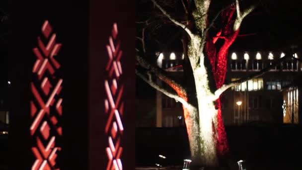 树被灯照亮了 — 图库视频影像