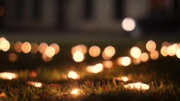 Meggyújtják Emlékgyertyákat Emlékgyertyákat Gyertyafény Temetőben — Stock videók