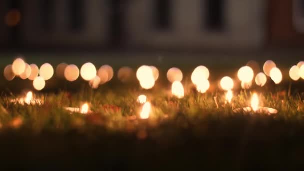 Zapalují Pamětní Pamětní Svíčky Plameny Svíček Hoří Hřbitově — Stock video