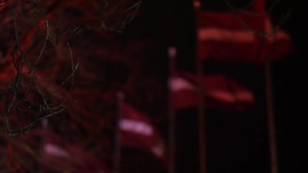 Drapeaux Rouges Blancs Accrochés Jour Souvenir — Video