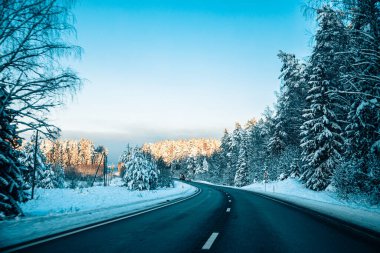 Kış asfalt yolu. Kış yolu, kar ve Letonya manzaralı ağaçlar. Fotoğraflara yumuşak odaklan.