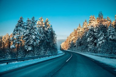 Kış asfalt yolu. Kış yolu, kar ve Letonya manzaralı ağaçlar. Fotoğraflara yumuşak odaklan.
