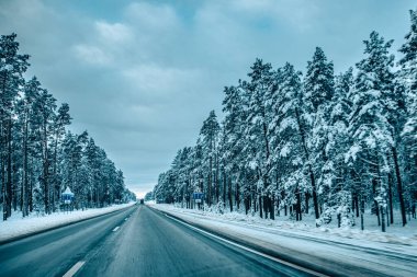 Kış asfalt yolu. Kış yolu, kar ve Letonya manzaralı ağaçlar. Fotoğraflara yumuşak odaklan.