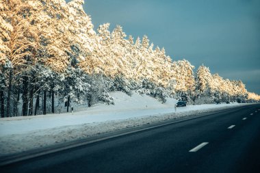 Kış asfalt yolu. Kış yolu, kar ve Letonya manzaralı ağaçlar. Fotoğraflara yumuşak odaklan.