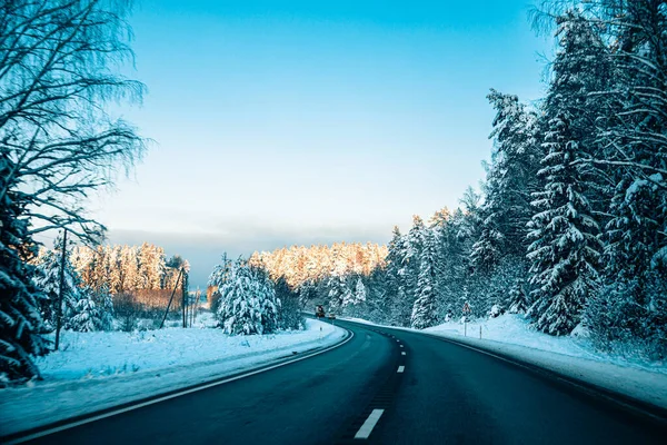 Kış asfalt yolu. Kış yolu, kar ve Letonya manzaralı ağaçlar. Fotoğraflara yumuşak odaklan.