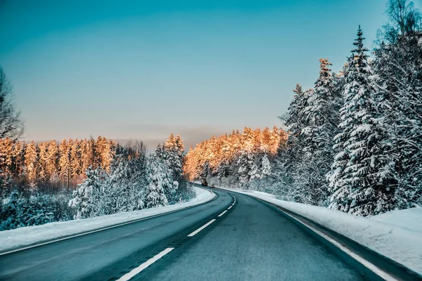 Kış asfalt yolu. Kış yolu, kar ve Letonya manzaralı ağaçlar. Fotoğraflara yumuşak odaklan.