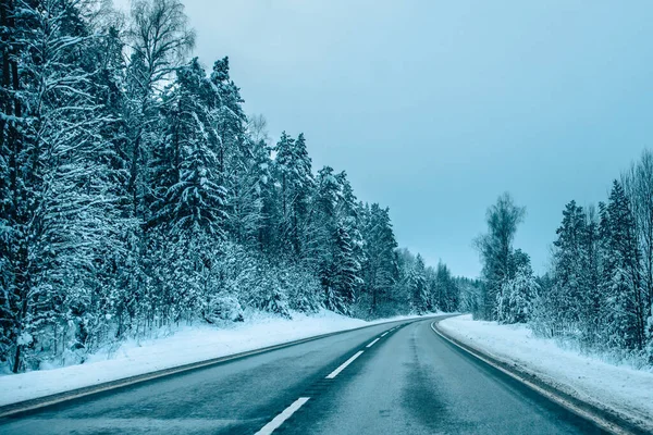 Winterasfaltweg Winterweg Bomen Met Sneeuw Lets Landschap Zachte Focus Foto — Stockfoto