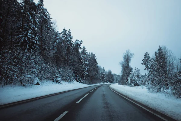 冬のアスファルト道路 雪とラトビアの風景と冬の道路や木 写真にソフトフォーカス — ストック写真