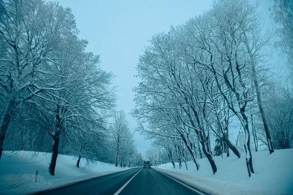 Winterasfaltweg Winterweg Bomen Met Sneeuw Lets Landschap Zachte Focus Foto — Stockfoto