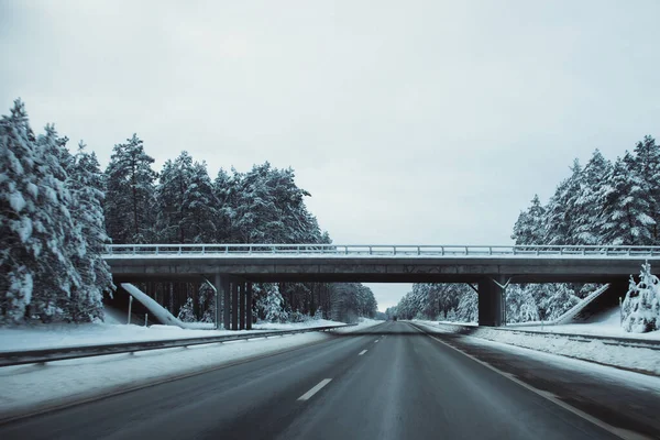 Kış asfalt yolu. Kış yolu, kar ve Letonya manzaralı ağaçlar. Fotoğraflara yumuşak odaklan.