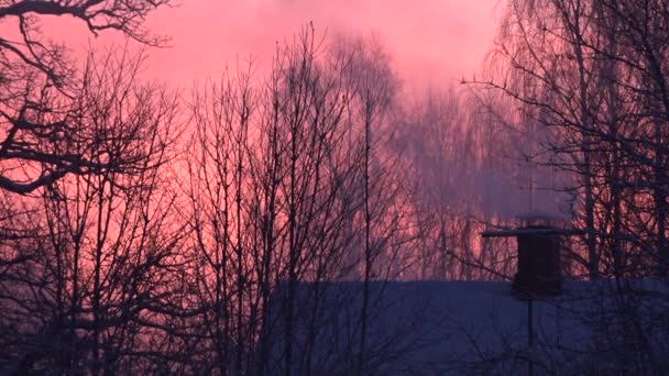 Home Chimney Big Smoke Morning Sun Rises Dark Trees Winter — Vídeo de Stock