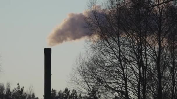 Winter City Chimney Heavy Smoke Industrial Factory Pollution Smokestack Exhaust — Stock Video